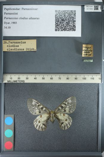 Media type: image;   Entomology 173952